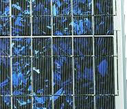 Polycrystalline cell
