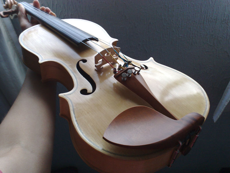 violino pronto